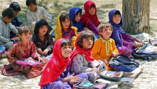 DDOS压力测试网页端